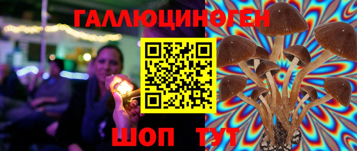 Галлюциногенные грибы Magic Shrooms  Вход с VPN  Куйбышев  Псилоцибиновые грибы Cubensis 